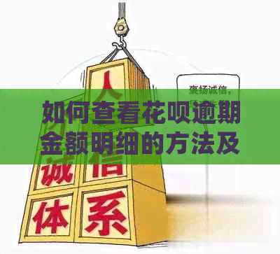 如何查看花呗逾期金额明细的方法及步骤