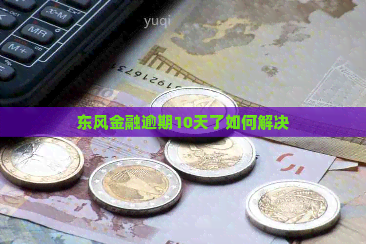 东风金融逾期10天了如何解决