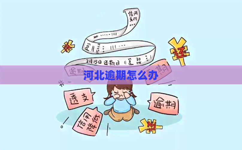 河北逾期怎么办