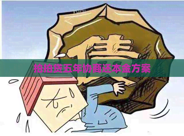 五年协商还本金方案