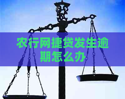 农行网捷贷发生逾期怎么办