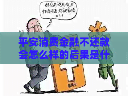 平安消费金融不还款会怎么样的后果是什么