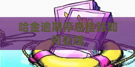 哈金逾期停息挂账如何处理