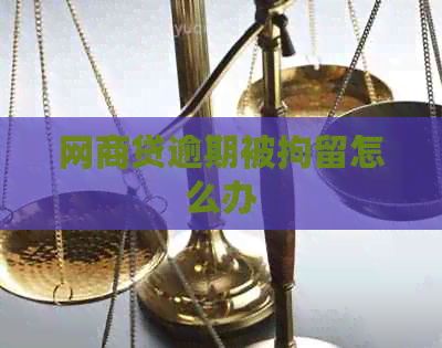 网商贷逾期被拘留怎么办