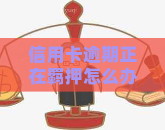 信用卡逾期正在羁押怎么办解决方法详解