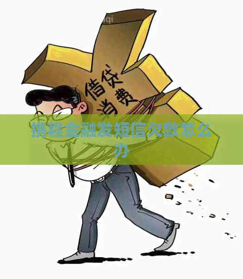 携程金融发短信欠款怎么办