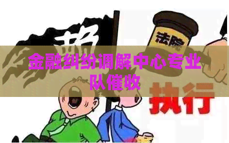 金融纠纷调解中心专业队