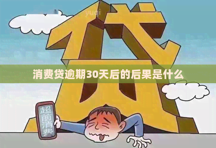 消费贷逾期30天后的后果是什么