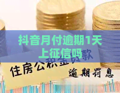 抖音月付逾期1天上吗