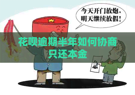 花呗逾期半年如何协商只还本金