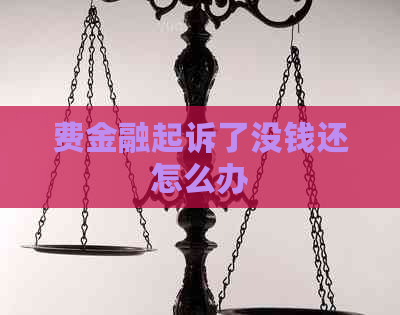 费金融起诉了没钱还怎么办