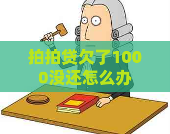 欠了1000没还怎么办