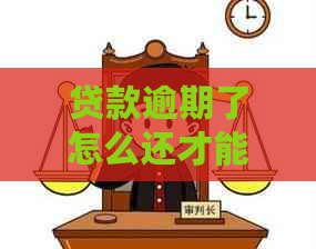 贷款逾期了怎么还才能避免更多损失