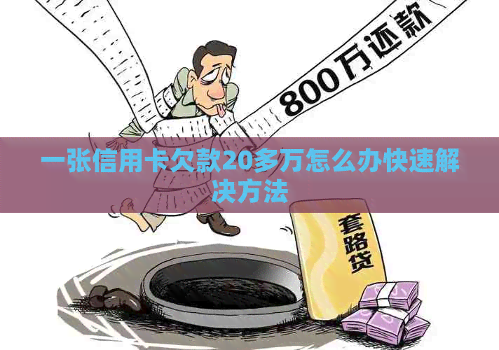 一张信用卡欠款20多万怎么办快速解决方法