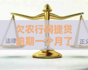 欠农行网捷贷逾期一个月了如何解决