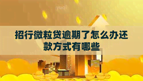 招行微粒贷逾期了怎么办还款方式有哪些