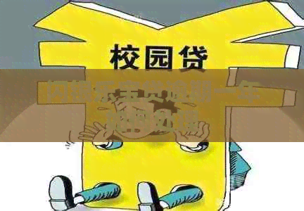 闪银乐宝贷逾期一年如何处理