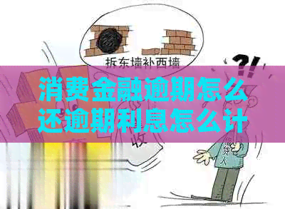 消费金融逾期怎么还逾期利息怎么计算