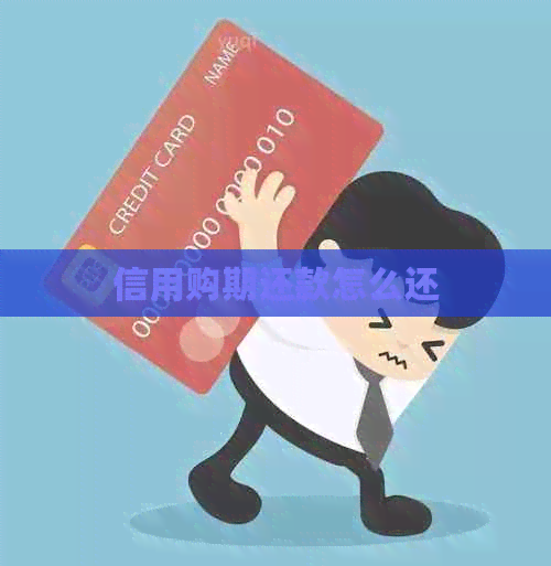 信用购期还款怎么还