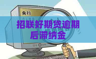 招联好期贷逾期后滞纳金