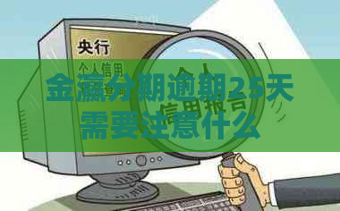 金瀛分期逾期25天需要注意什么