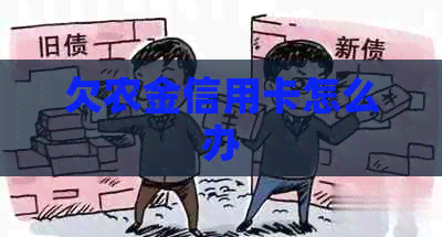 欠农金信用卡怎么办