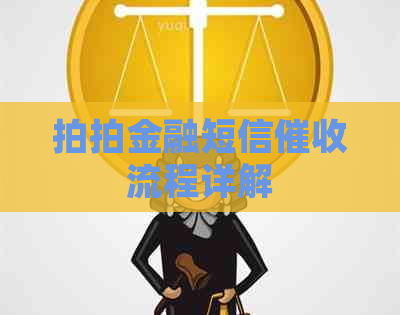 拍拍金融短信流程详解