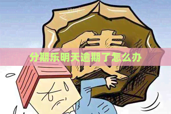 明天逾期了怎么办