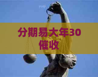 分期易大年30