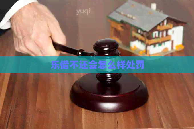 乐借不还会怎么样处罚