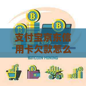 支付宝京东信用卡欠款怎么办