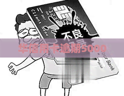 华信用卡逾期50000