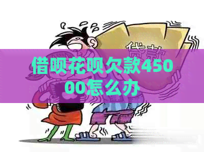 借呗花呗欠款45000怎么办