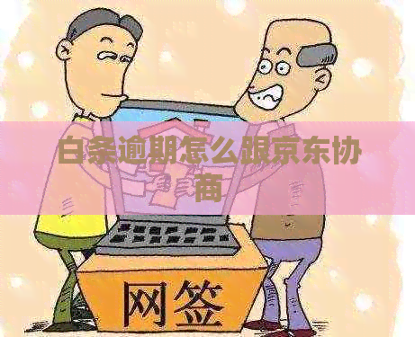 白条逾期怎么跟京东协商