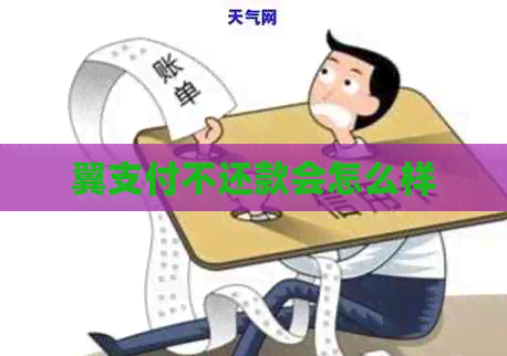 翼支付不还款会怎么样