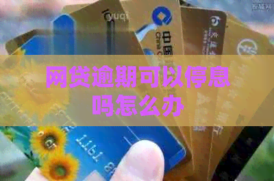 网贷逾期可以停息吗怎么办