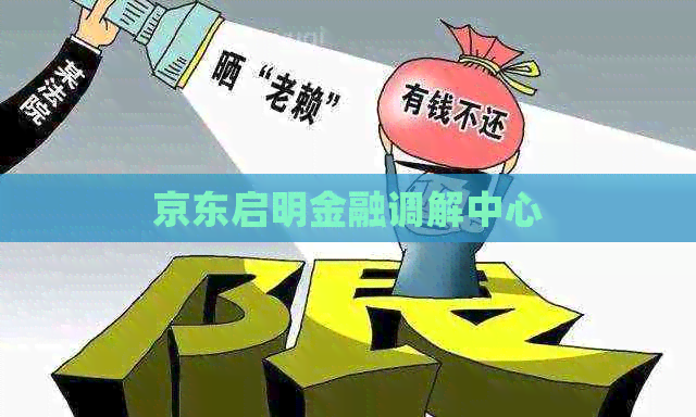 京东启明金融调解中心