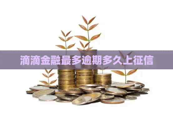 滴滴金融最多逾期多久上