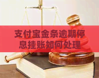 支付宝金条逾期停息挂账如何处理