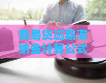 新易贷逾期滞纳金计算公式