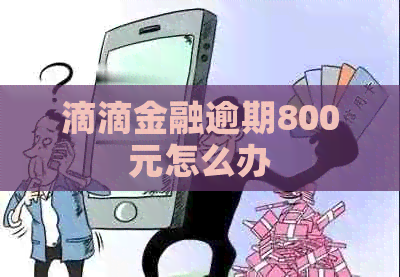 滴滴金融逾期800元怎么办