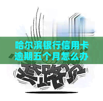 哈尔滨银行信用卡逾期五个月怎么办解决方法