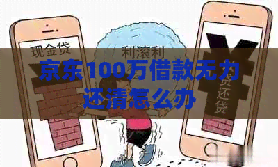 京东100万借款无力还清怎么办