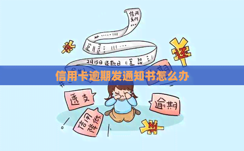 信用卡逾期发通知书怎么办