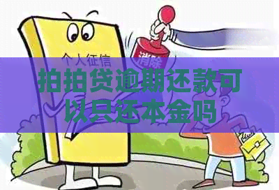 逾期还款可以只还本金吗