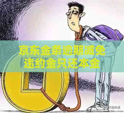 京东金条逾期减免违约金只还本金