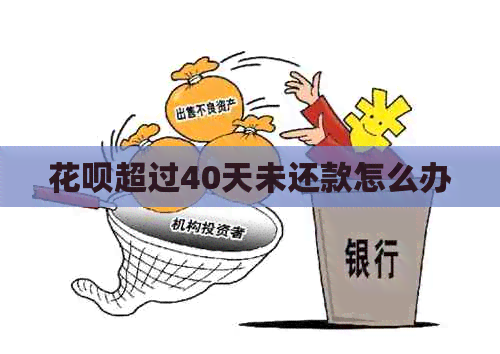 花呗超过40天未还款怎么办