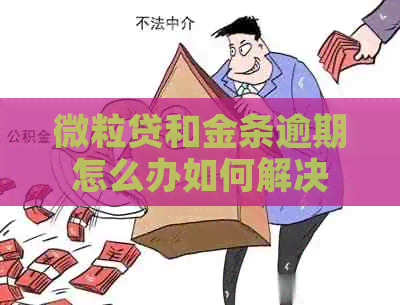 微粒贷和金条逾期怎么办如何解决