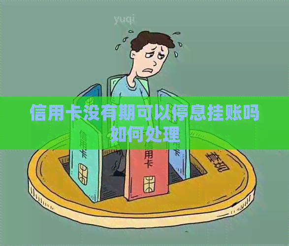 信用卡没有期可以停息挂账吗如何处理