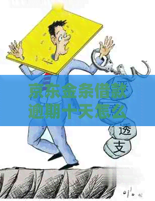 京东金条借款逾期十天怎么处理